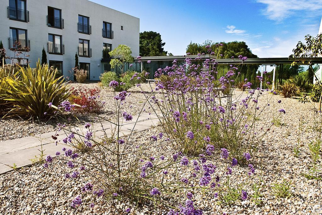 Lifehouse Spa And Hotel Frinton-on-Sea Exterior foto